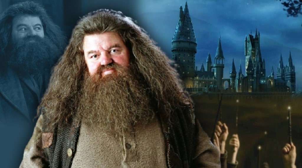 hagrid character in harry potter