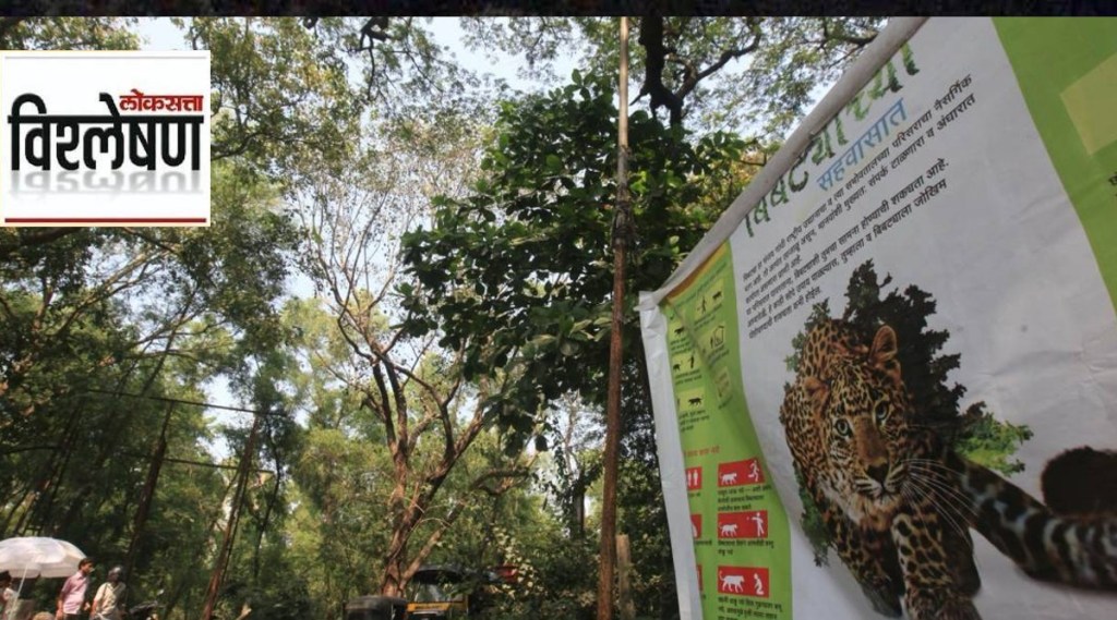 इतिकाच्या मृत्यूनंतर संतप्त रहिवाशांनी या बिबट्याला जेरबंद करण्याची मागणी केली होती.