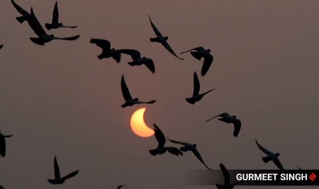 partial solar eclipse in india