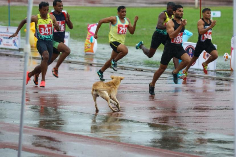 AFMC स्टेडियमवर 29 व्या ऑल इंडिया RPF (रेल्वे प्रोटेक्शन फोर्स) अॅथलेटिक चॅम्पियनशिप 2022 च्या पुरुषांची अंतिम फेरीत. कुत्र्याने मैदानावर प्रवेश केला होता.(फोटो -अरुल होराएझन)