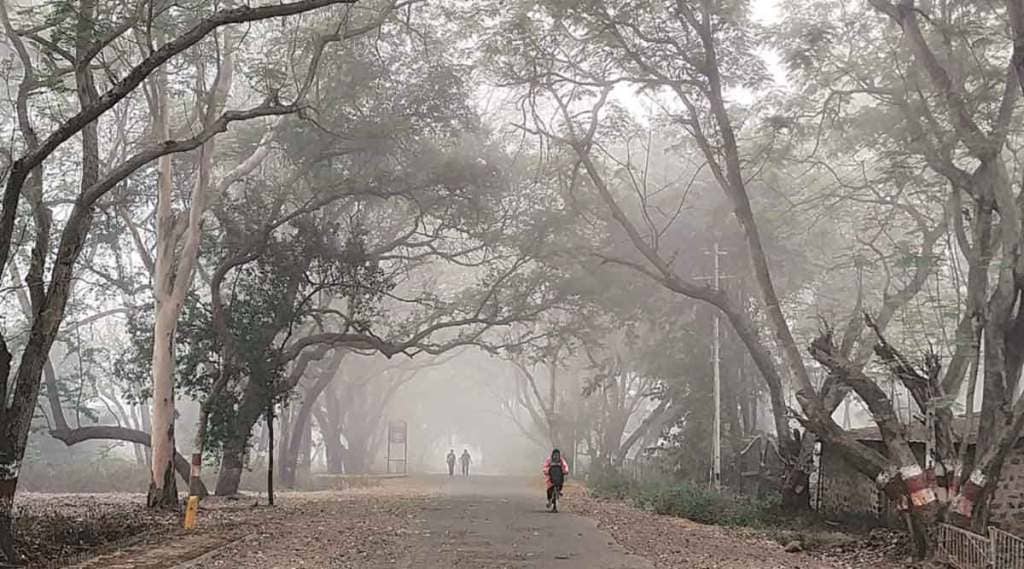 पुण्यात ऑक्टोबर अखेरपर्यंत थंडी कायम