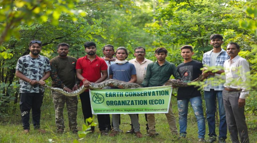 caught snake in forest