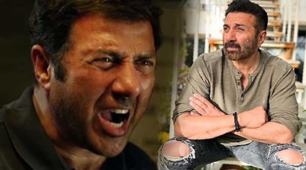 sunny deol, sunny deol birthday, sunny deol films, shahrukh khan, darr, सनी देओल, सनी देओल वाढदिवस, डर, सनी देओल ६६ वा वाढदिवस, सनी देओल चित्रपट, शाहरुख खान, बॉलिवूड न्यूज, मराठी बातम्या