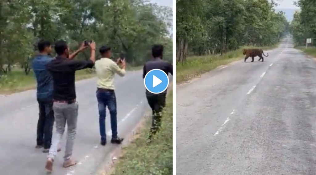 viral video people clicking selfie