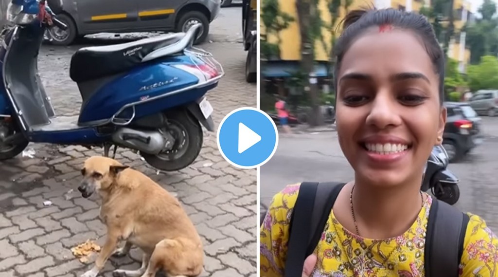 women meets dog she fed during lockdown viral video