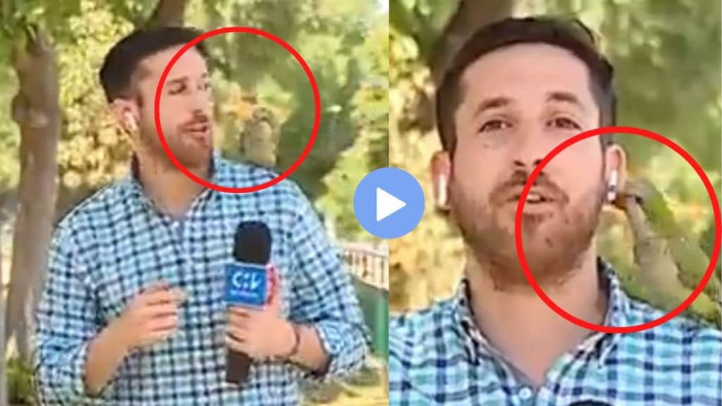 Parrot Steals Chilean Reporter's Earphone During Broadcast