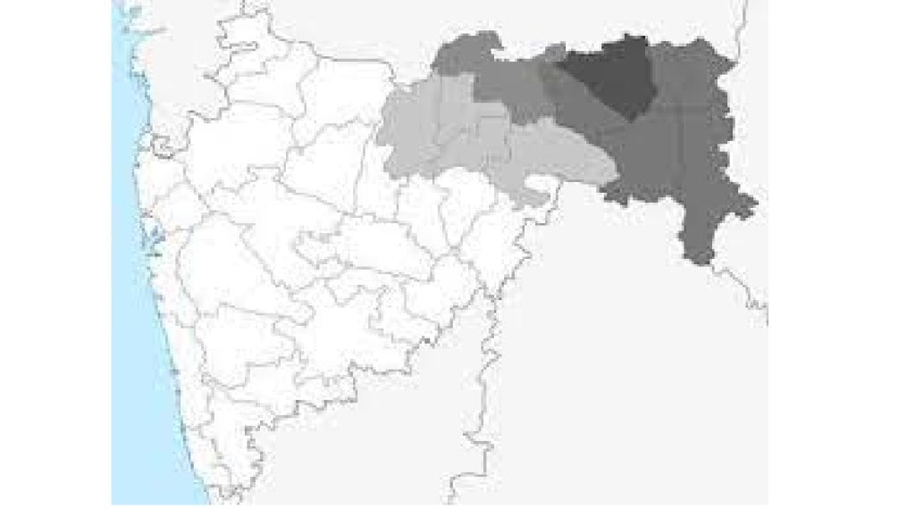 All resources required for industrial development in Vidarbha (1)