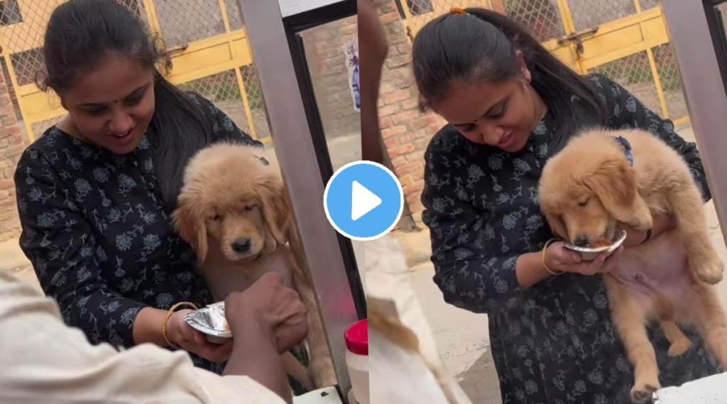 Dogs Panipuri Party has gone viral on internet but Netizens expressed their displeasure after seeing the video