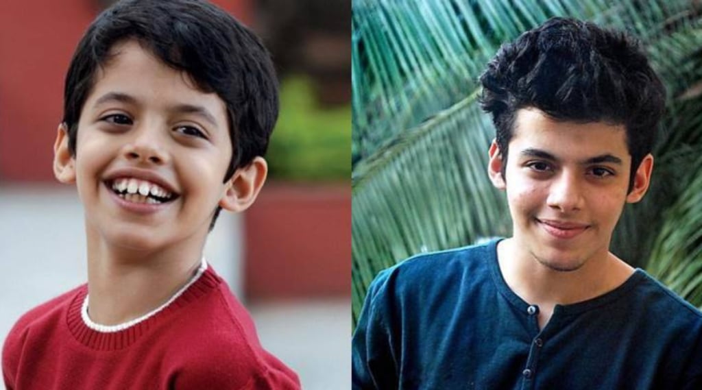 darsheel safary