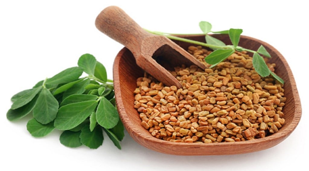 Fenugreek seeds