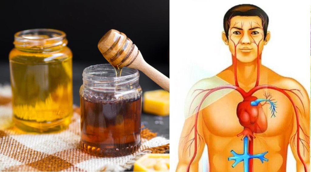 honey health benefits