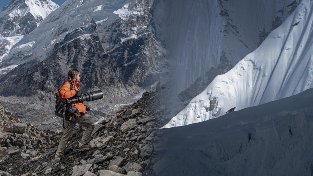 viral photos of snow leopard