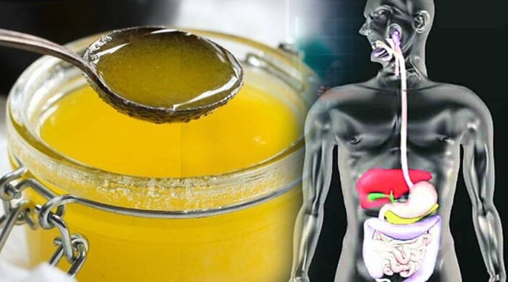 ghee disadvantage on human body