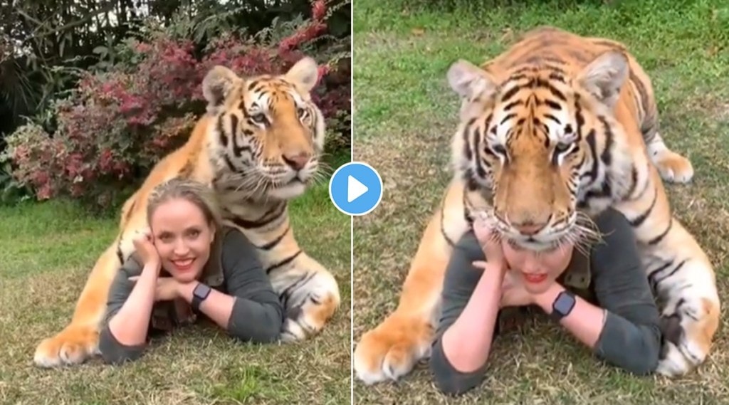 tiger women video