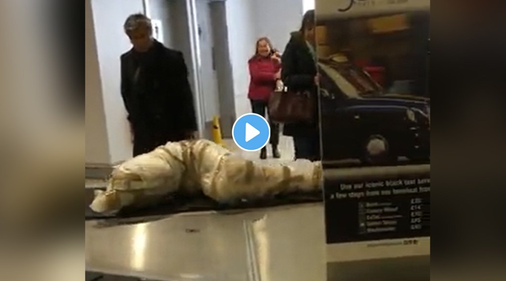 airport luggage video