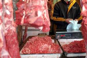 buffalo meat exports