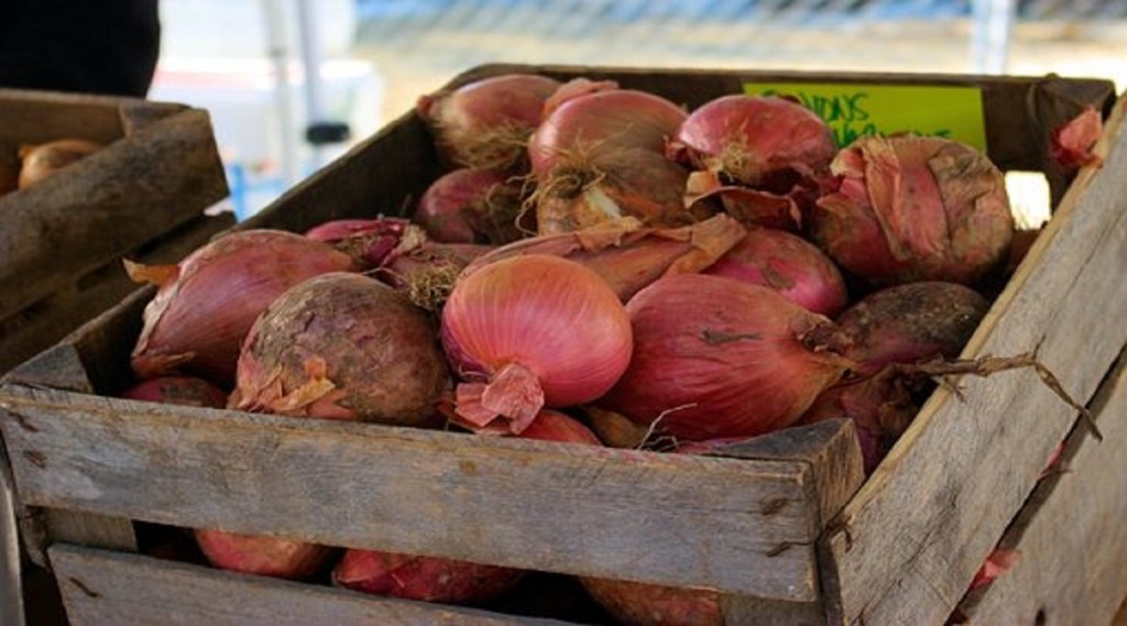 box of onions