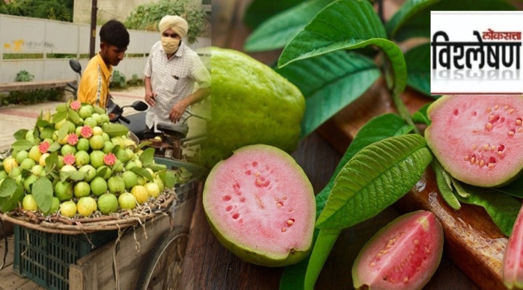 guava health benefits