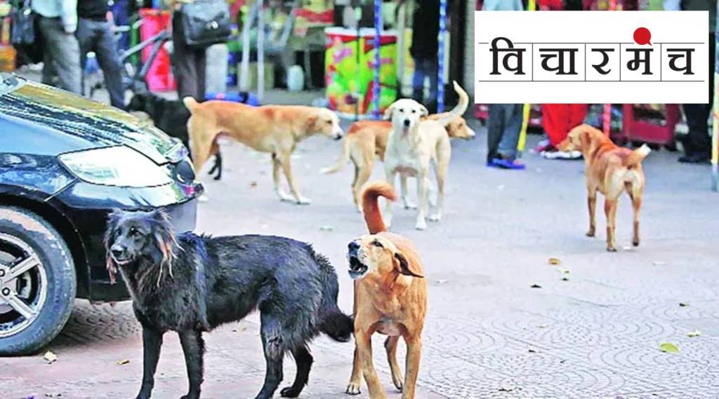 Do we want to solve the problem of street dogs?