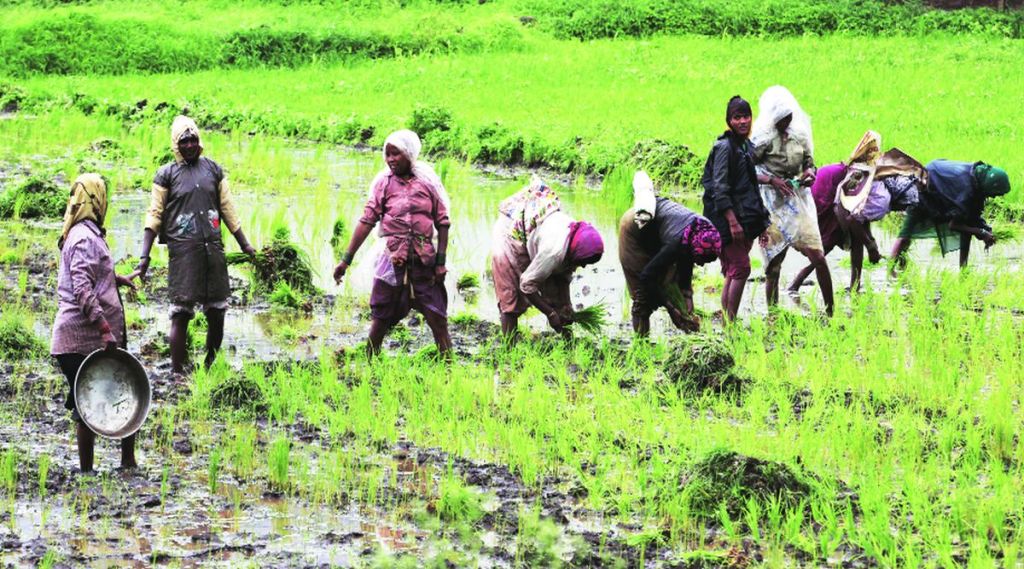 शेतीचा विकास, पण शेतकऱ्यांची अधोगती!;स्वातंत्र्याची ७५ वर्षे