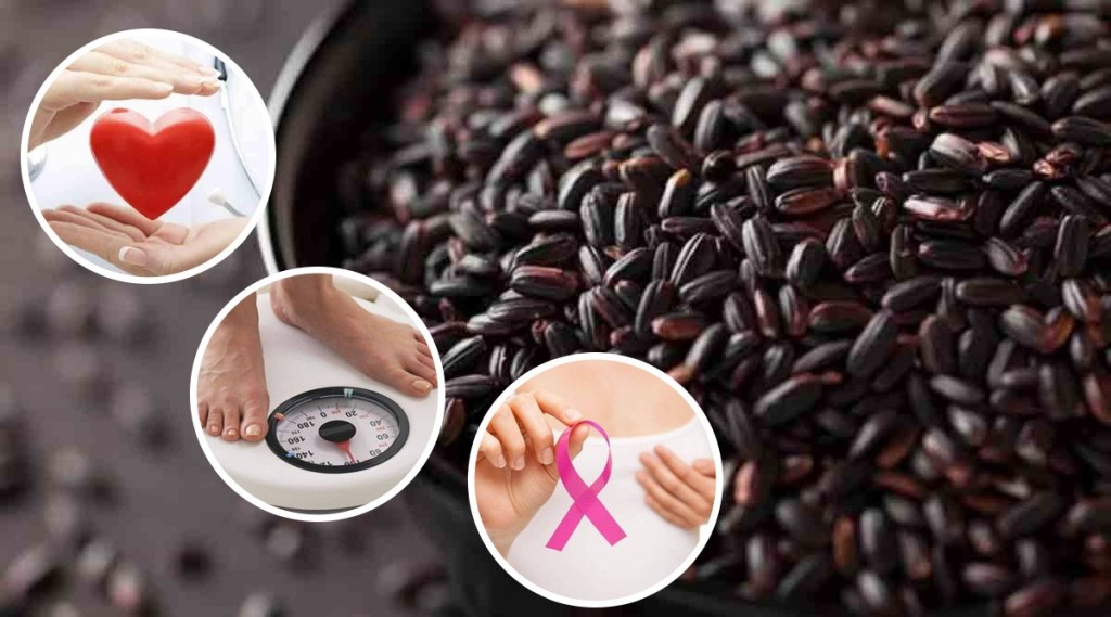 Black Rice Benefits