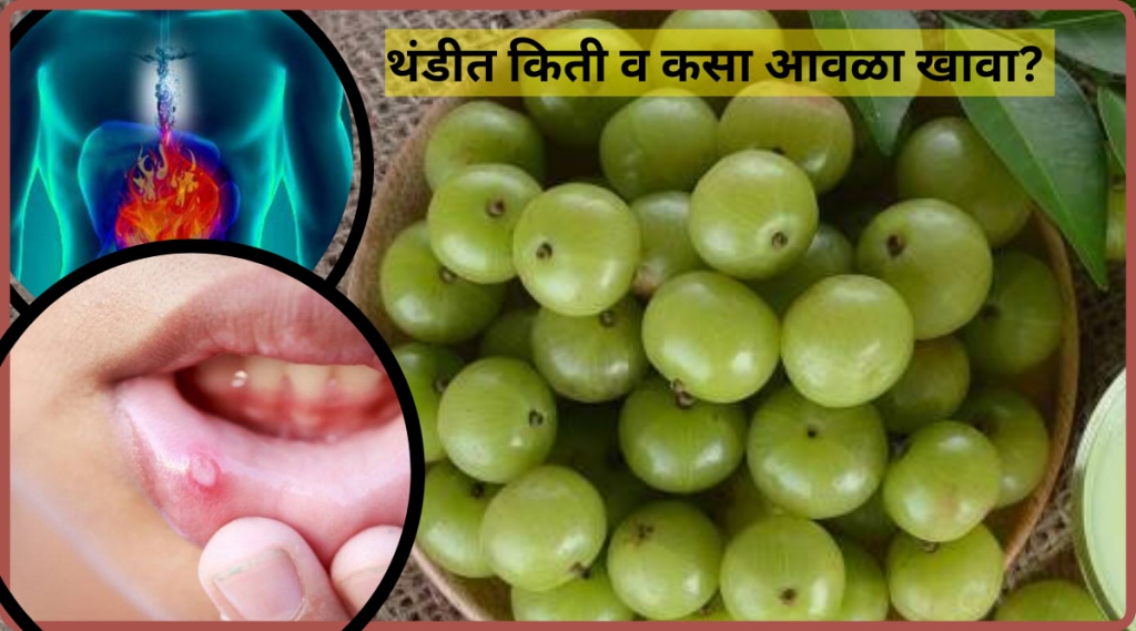 Amla Will Cure Mouth Ulcer and Stomach Cramp Issues How Much Amla is Good to eat in a day Says Ayurvedic Expert