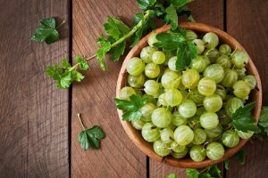 gooseberry side effects