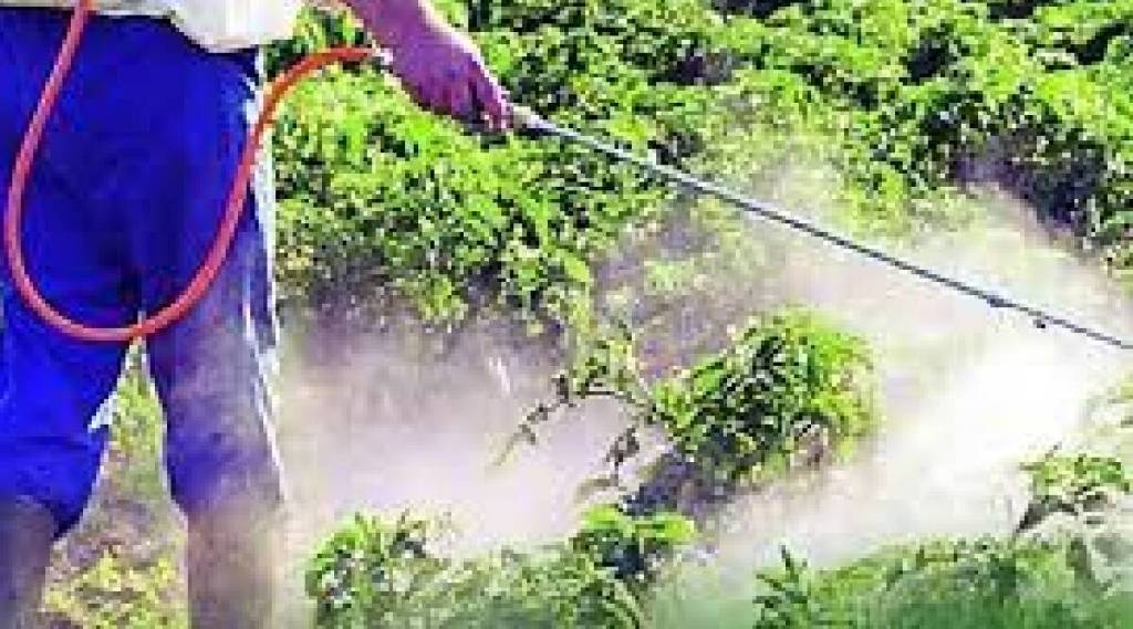 pesticide smuggling connection in madhya pradesh