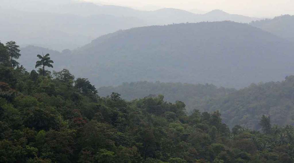 petition in bombay hc to declare eco sensitive area for sawantwadi dodamarg wildlife corridor