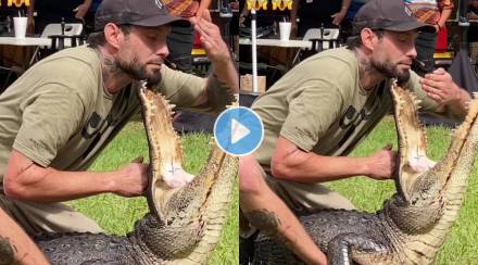 Viral Video Man puts his hand in crocodiles mouth What happened next has shocked Netizens