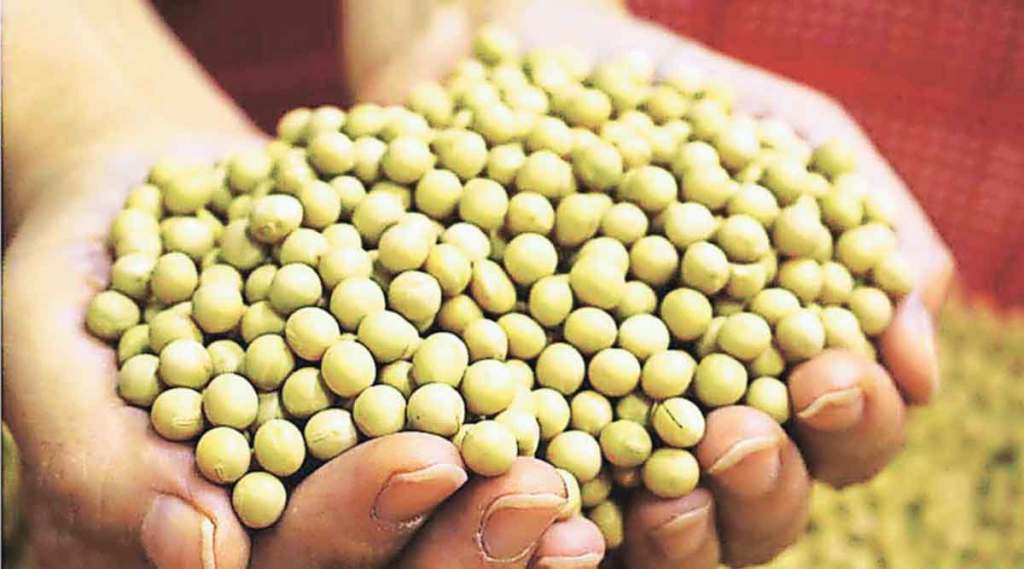 farmers unaware of how to complaint about bogus seeds