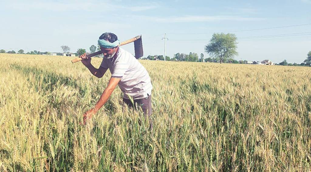 (संग्रहित छायाचित्र)
photo source : indian express file photo