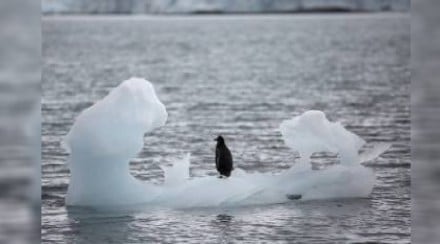 Antarctic ocean