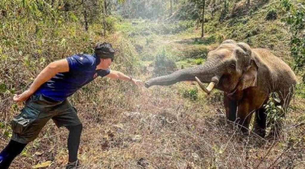 IFS Officer Shares Picture Of Elephant Recognizes Veterinarian Who Saved His Life 12 years ago Viral Photo Wins Internet