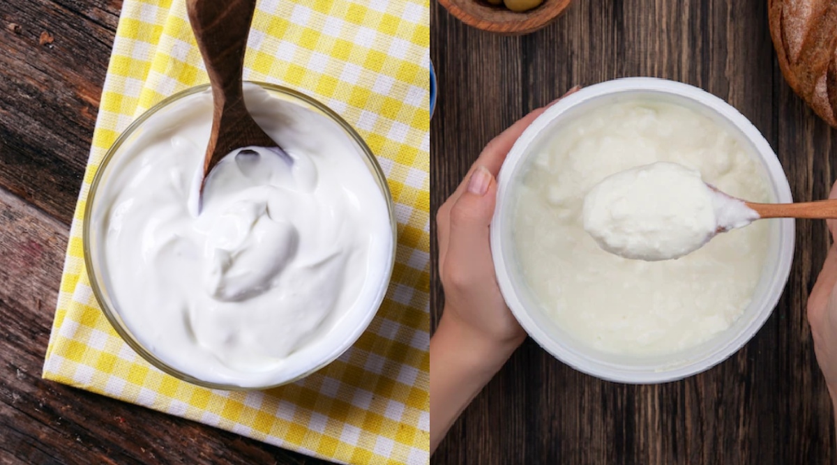 What Is The Difference Between Yogurt And Curd Know Which One Is Better For Health