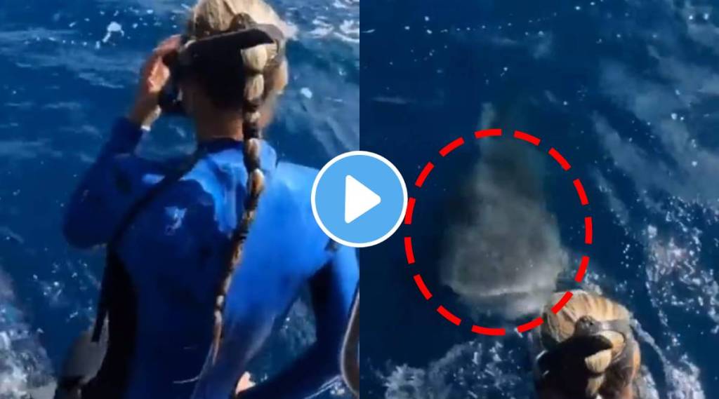 Viral Video young women tries to jump in to see for underwater diving but shark appears unexpectedly