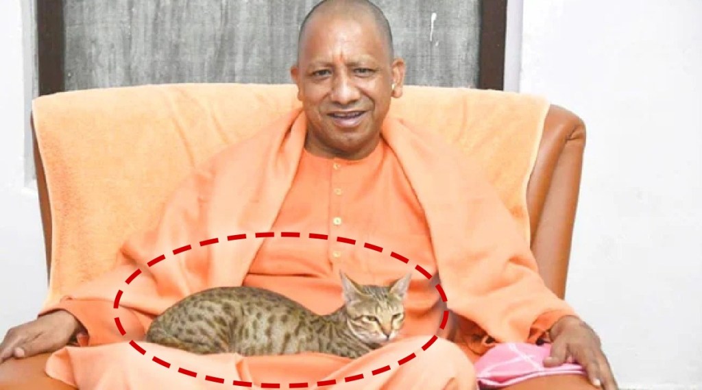 photo(Yogi Adityanath twitter)