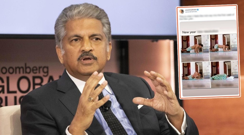 anand mahindra