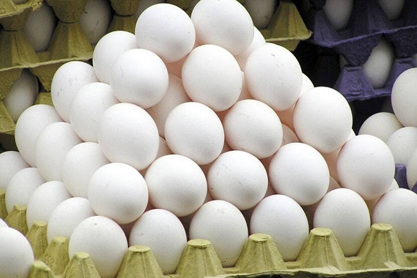 mumbai Eggs rate rise