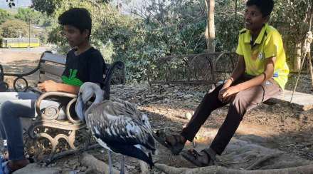 injured flamingo rescued by fisherman