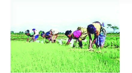 पहिली बाजू: वहिवाटीच्या वादावर ‘सलोखा’