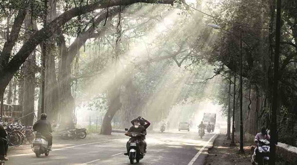 महाराष्ट्रात गारवा घटणार
फोटो- लोकसत्ता