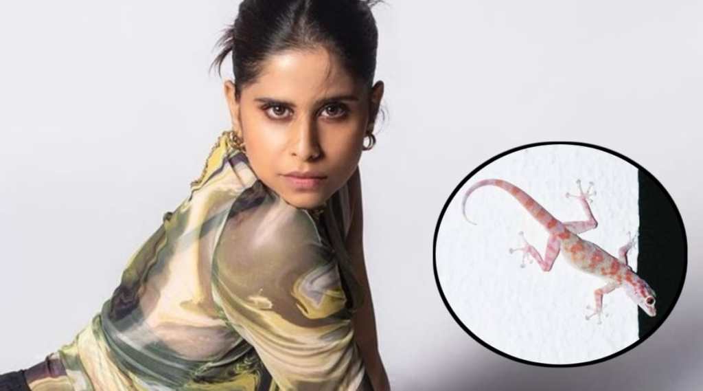 sai tamhankar 0