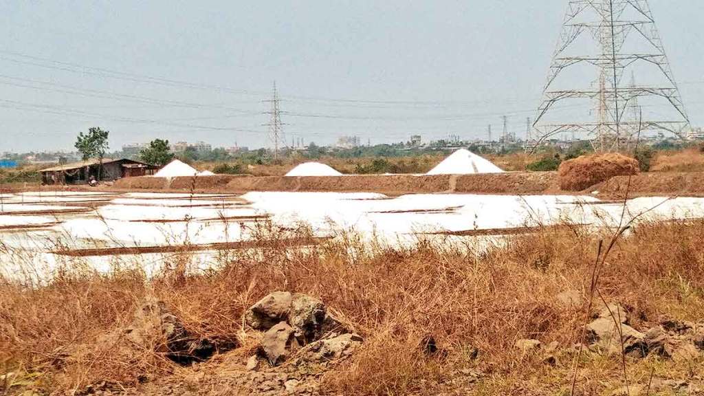 central government plans to auction the salt pans