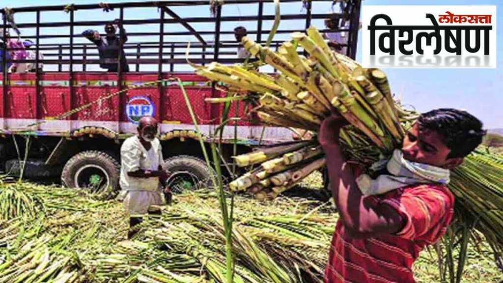 sugar-cane-workers