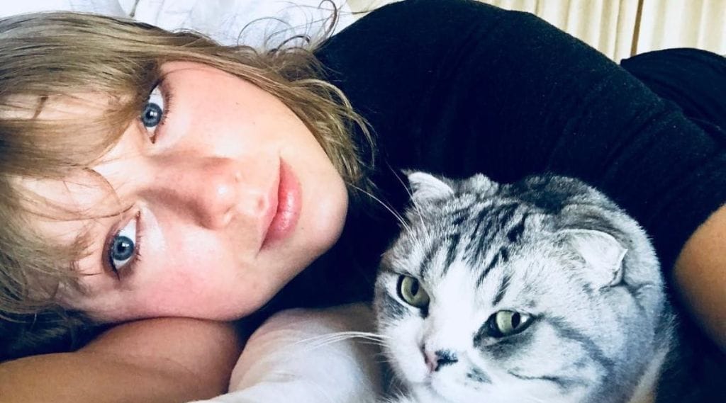 Taylor Swift pet cat, Taylor Swift instagram, Taylor Swift cat price, Taylor Swift cat photo, Taylor Swift cat oilivia, Taylor Swift cat, Taylor Swift, oilivia benson