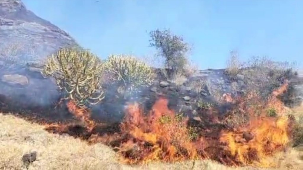 encroachment on Sula hill near Matori village and Ramshej fort