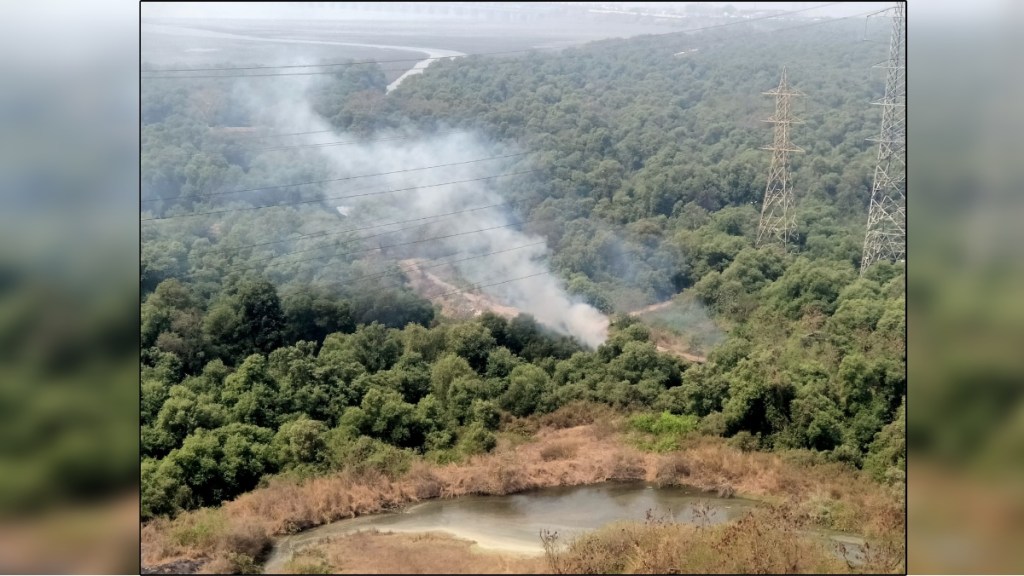 Fire at Kandal forest