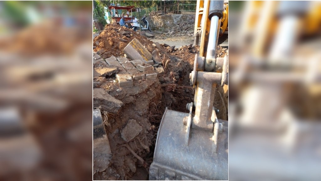 cut the roots of trees while digging the cycle track on Trimbak road in Nashik city