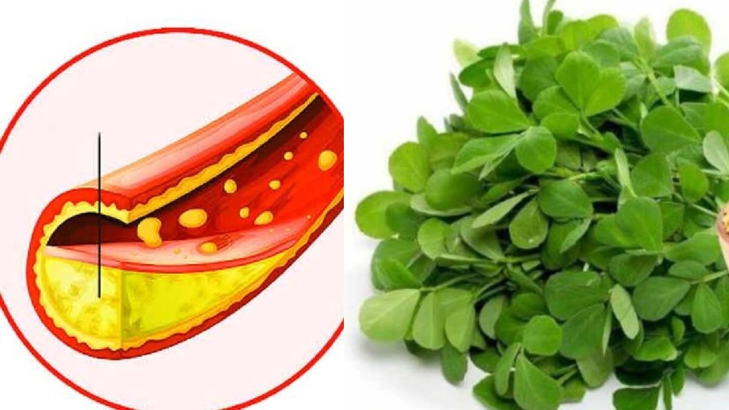 fenugreek leaves benefits